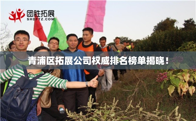 青浦區(qū)拓展公司權(quán)威排名榜單揭曉！