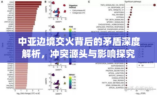 中亞邊境交火背后的矛盾深度解析，沖突源頭與影響探究