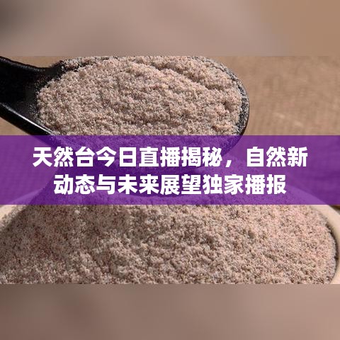 天然臺今日直播揭秘，自然新動態(tài)與未來展望獨家播報