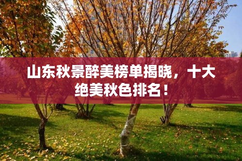 山東秋景醉美榜單揭曉，十大絕美秋色排名！