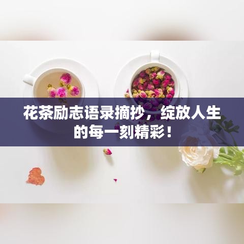 花茶勵志語錄摘抄，綻放人生的每一刻精彩！