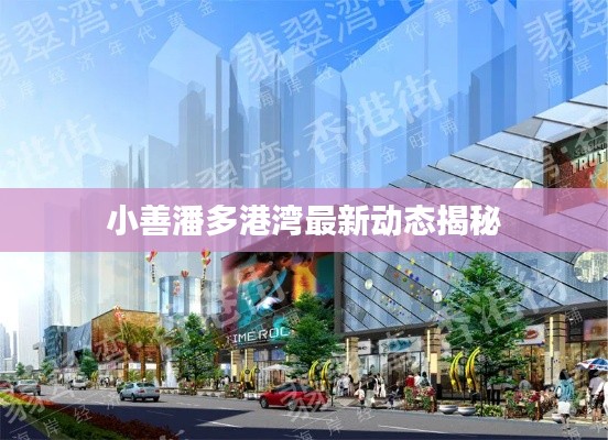 小善潘多港灣最新動態(tài)揭秘