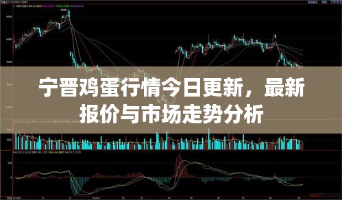 寧晉雞蛋行情今日更新，最新報價與市場走勢分析
