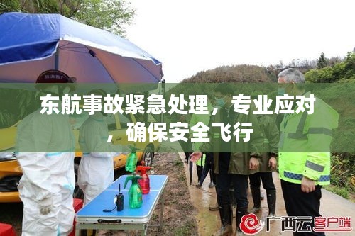 東航事故緊急處理，專業(yè)應(yīng)對，確保安全飛行