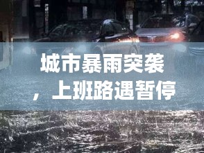 城市暴雨突襲，上班路遇暫停，節(jié)奏隨雨而停