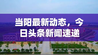 當陽最新動態(tài)，今日頭條新聞速遞