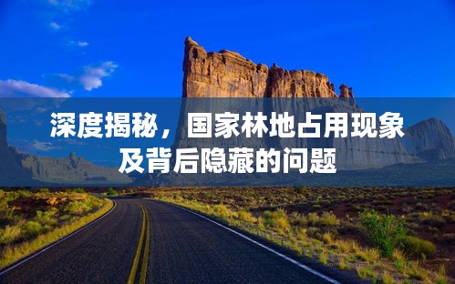 深度揭秘，國家林地占用現(xiàn)象及背后隱藏的問題
