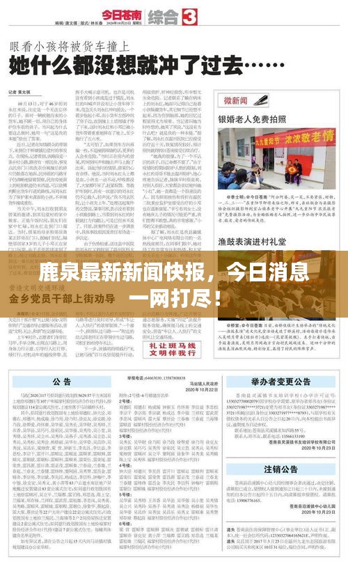 鹿泉最新新聞快報(bào)，今日消息一網(wǎng)打盡！