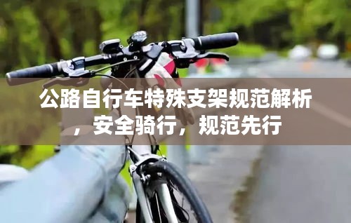 公路自行車特殊支架規(guī)范解析，安全騎行，規(guī)范先行