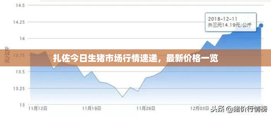 扎佐今日生豬市場行情速遞，最新價格一覽