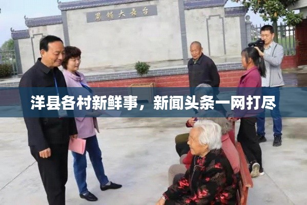 洋縣各村新鮮事，新聞?lì)^條一網(wǎng)打盡
