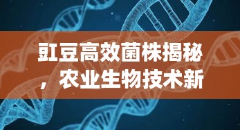 豇豆高效菌株揭秘，農(nóng)業(yè)生物技術(shù)新里程碑來(lái)臨！