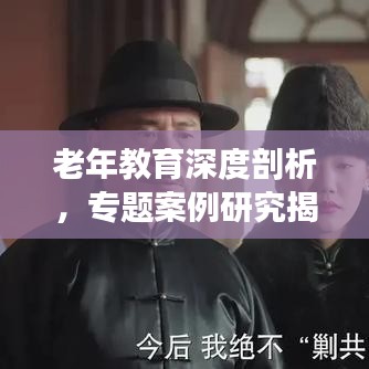 老年教育深度剖析，專題案例研究揭秘