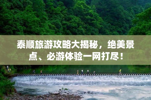 泰順旅游攻略大揭秘，絕美景點(diǎn)、必游體驗(yàn)一網(wǎng)打盡！