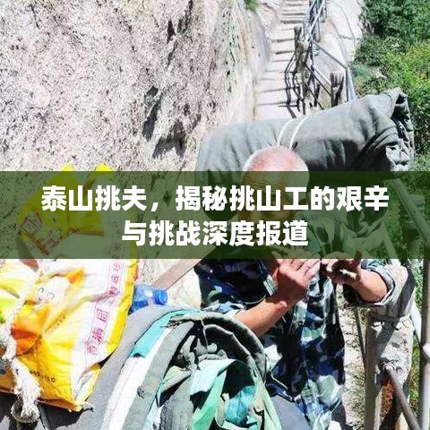 泰山挑夫，揭秘挑山工的艱辛與挑戰(zhàn)深度報(bào)道