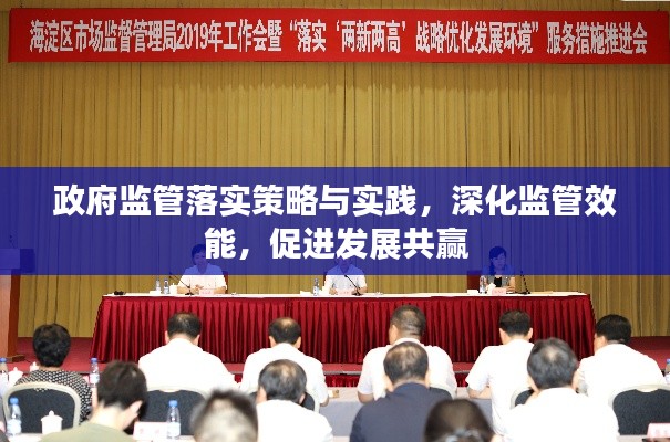 政府監(jiān)管落實(shí)策略與實(shí)踐，深化監(jiān)管效能，促進(jìn)發(fā)展共贏