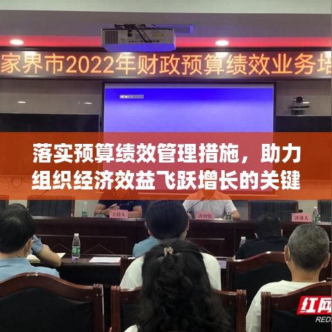落實預(yù)算績效管理措施，助力組織經(jīng)濟效益飛躍增長的關(guān)鍵路徑