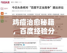雞痘治愈秘籍，百度經(jīng)驗(yàn)分享，專業(yè)治療方法一網(wǎng)打盡