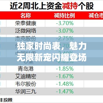 獨家時尚表，魅力無限新寵閃耀登場