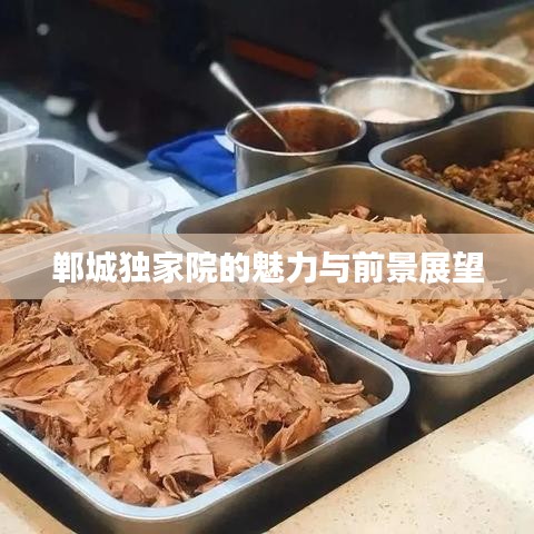 鄲城獨(dú)家院的魅力與前景展望