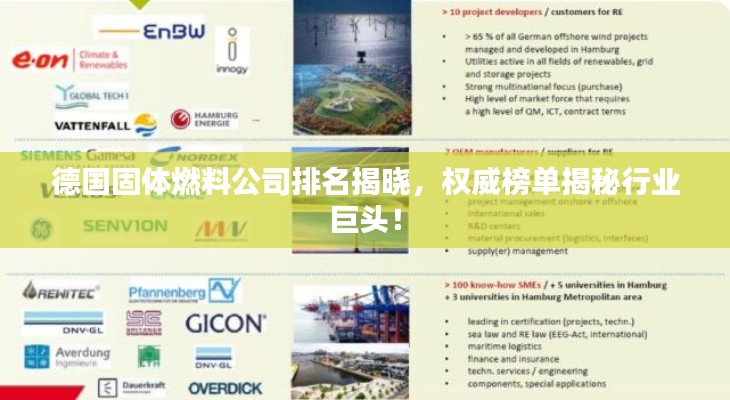 德國(guó)固體燃料公司排名揭曉，權(quán)威榜單揭秘行業(yè)巨頭！