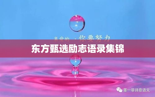東方甄選勵志語錄集錦