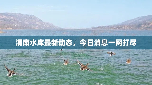 渭南水庫最新動(dòng)態(tài)，今日消息一網(wǎng)打盡