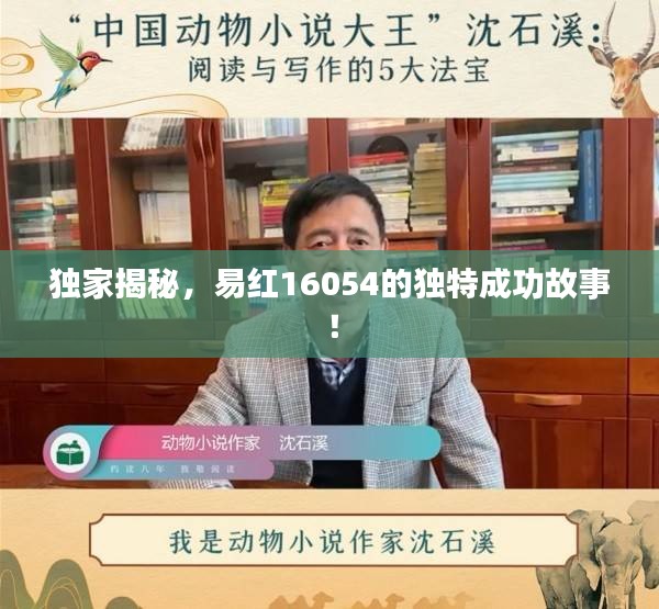 獨(dú)家揭秘，易紅16054的獨(dú)特成功故事！