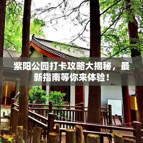 紫陽(yáng)公園打卡攻略大揭秘，最新指南等你來(lái)體驗(yàn)！
