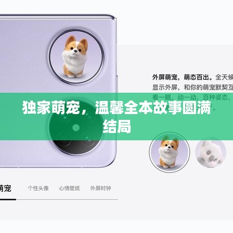 獨(dú)家萌寵，溫馨全本故事圓滿結(jié)局