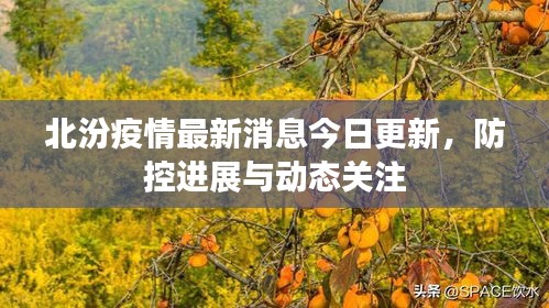 北汾疫情最新消息今日更新，防控進(jìn)展與動(dòng)態(tài)關(guān)注