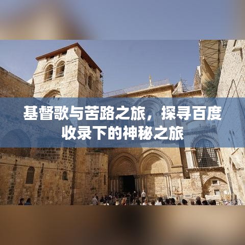 2025年3月1日 第3頁(yè)