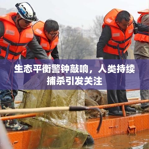 生態(tài)平衡警鐘敲響，人類持續(xù)捕殺引發(fā)關(guān)注