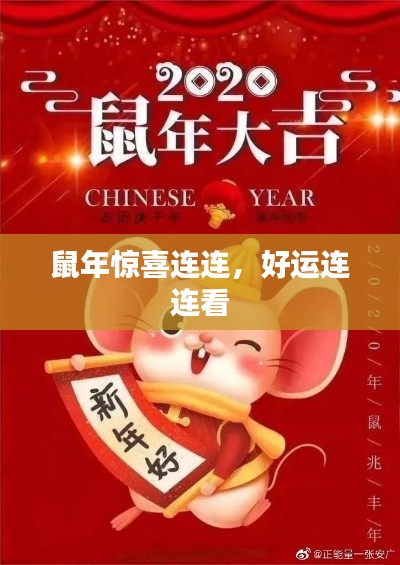 鼠年驚喜連連，好運(yùn)連連看