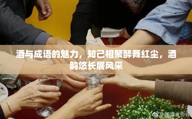 酒與成語的魅力，知己相聚醉舞紅塵，酒韻悠長展風(fēng)采