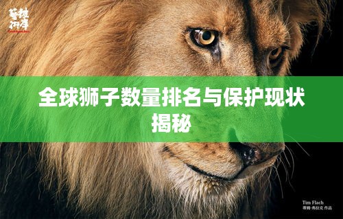 全球獅子數(shù)量排名與保護(hù)現(xiàn)狀揭秘