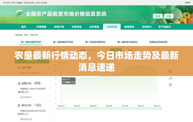 農(nóng)墾最新行情動(dòng)態(tài)，今日市場(chǎng)走勢(shì)及最新消息速遞