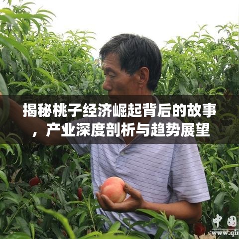 揭秘桃子經(jīng)濟(jì)崛起背后的故事，產(chǎn)業(yè)深度剖析與趨勢(shì)展望
