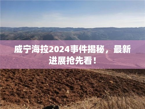 威寧海拉2024事件揭秘，最新進展搶先看！