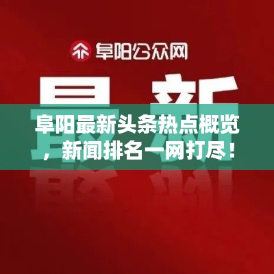 2025年3月3日 第3頁(yè)