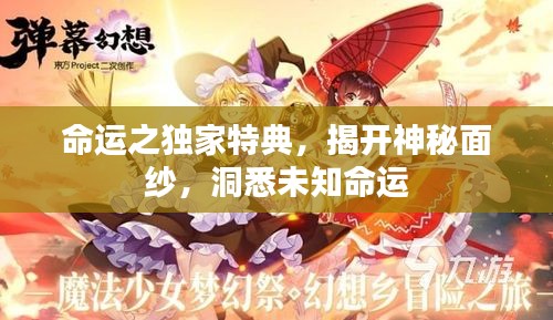 命運(yùn)之獨(dú)家特典，揭開(kāi)神秘面紗，洞悉未知命運(yùn)