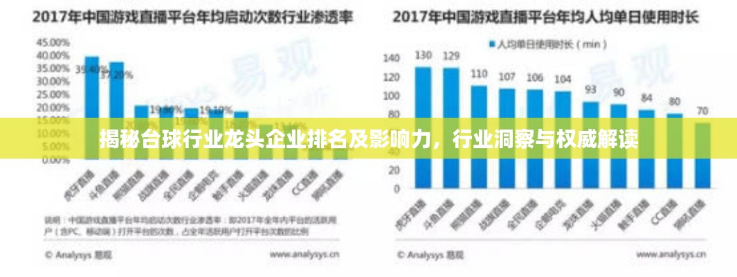 揭秘臺(tái)球行業(yè)龍頭企業(yè)排名及影響力，行業(yè)洞察與權(quán)威解讀