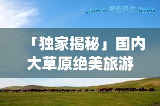 「獨(dú)家揭秘」國內(nèi)大草原絕美旅游攻略，讓你暢游無界！