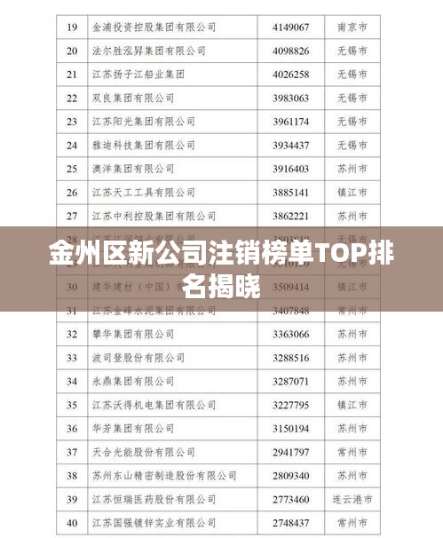 金州區(qū)新公司注銷榜單TOP排名揭曉