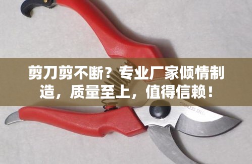 剪刀剪不斷？專業(yè)廠家傾情制造，質(zhì)量至上，值得信賴！