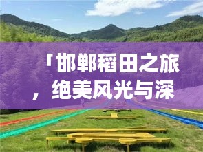 「邯鄲稻田之旅，絕美風(fēng)光與深度體驗(yàn)攻略」