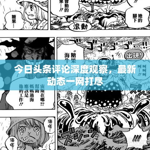 今日頭條評論深度觀察，最新動態(tài)一網(wǎng)打盡