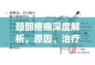 頸部疼痛深度解析，原因、治療與預(yù)防（百度收錄標(biāo)準(zhǔn)）