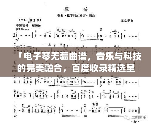 「電子琴無疆曲譜，音樂與科技的完美融合，百度收錄精選呈現(xiàn)」