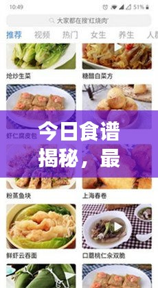 今日食譜揭秘，最新美食資訊與個性化推薦，不容錯過！
